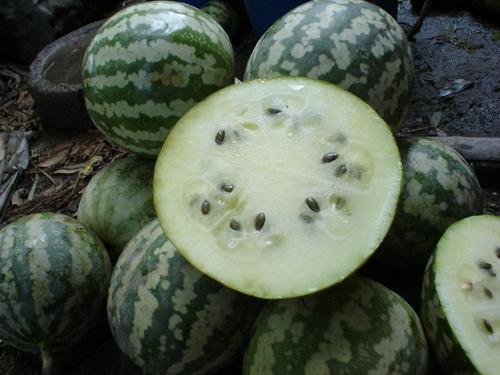 吃绿宝瓜视频,一窥视频中的清新滋味