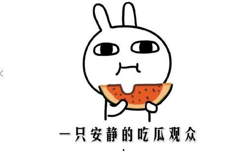 吃瓜小逗,揭秘娱乐圈那些不为人知的幕后故事