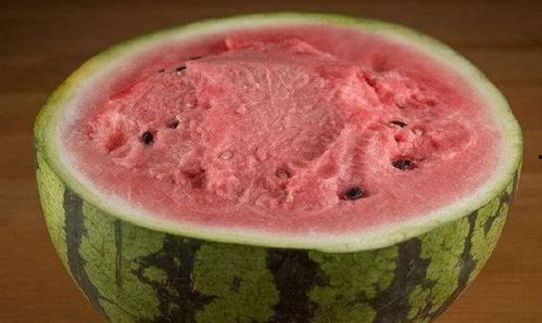 牛在路边吃瓜,悠然自得吃瓜趣事