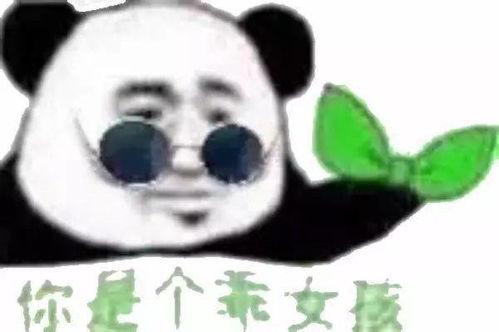 无内鬼吃瓜群,网络社交新现象背后的故事