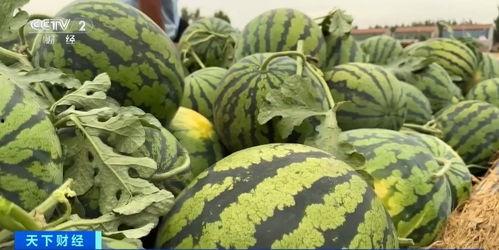 商丘女骑吃瓜事件,网络热议背后的真相与反思