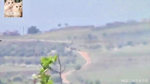 吃瓜群背景,网络社交的趣味与争议