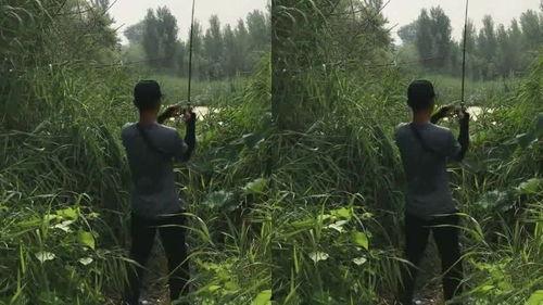 吃瓜动作如何获得,轻松成为社交达人