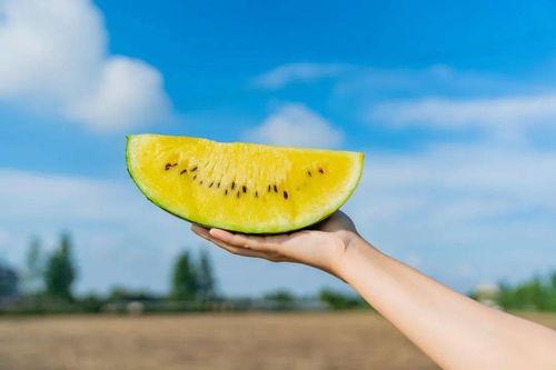 吃瓜卡不卡,揭秘网络直播的流畅秘籍