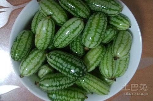 金钱瓜怎么吃,解锁美味新境界