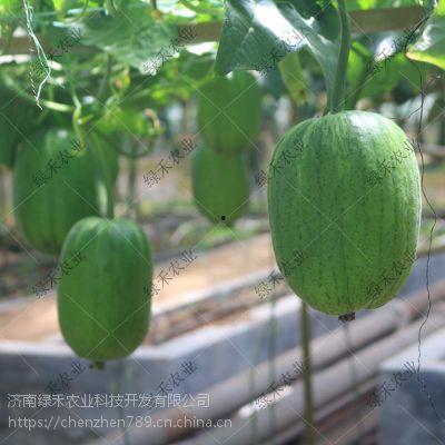 济南恒隆跨年吃瓜,美食与娱乐交织的“吃瓜”盛宴