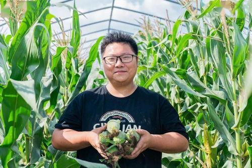 吃瓜打卡王中明,揭秘娱乐圈幕后故事