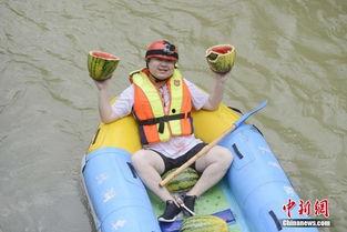 吃瓜学妹漂流,一场青春的冒险之旅