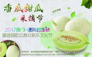 qq大咖吃瓜,揭秘QQ大咖吃瓜背后的娱乐江湖