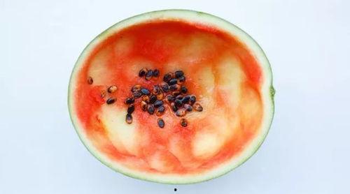 pcl赛区吃瓜勺子,吃瓜勺子背后的故事