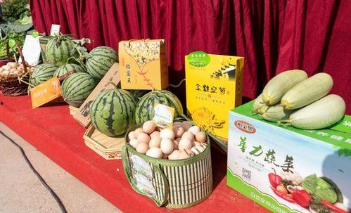 淮北云集吃瓜,一场别开生面的吃瓜盛宴