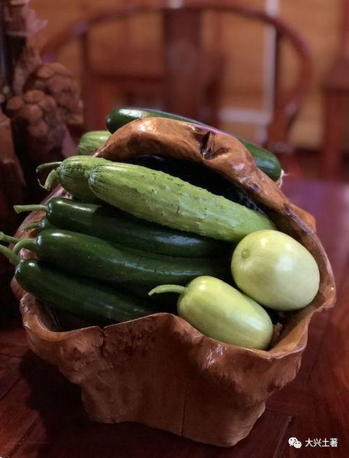 网红吃瓜热点,揭秘娱乐圈最新热点事件