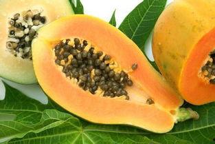 胃病可以吃瓜吧,适量吃瓜，健康度夏