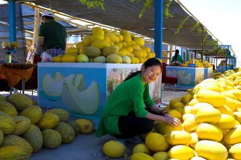 瓜州吃瓜要门票吗,吃瓜狂欢，门票畅享之旅