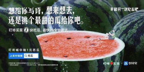 逛街吃瓜文案,逛吃瓜之旅，解锁美食地图