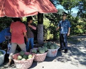 临朐吃瓜群众,揭秘当地生活百态