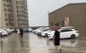 菏泽郓城吃瓜车库