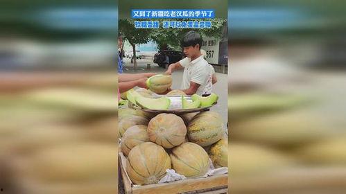 吃老汉瓜的照片图片,笑迎夏日好时光