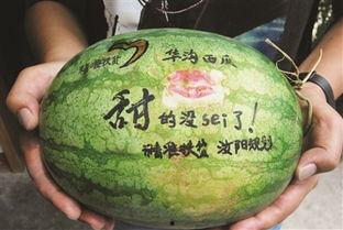 谷桥吃瓜,揭秘娱乐圈幕后故事