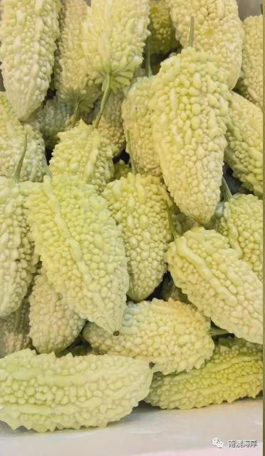 珠瓜怎么吃,探索美味与营养的完美结合