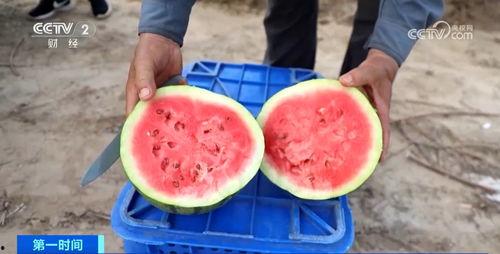 阿富吃瓜,揭秘娱乐圈背后的那些事儿