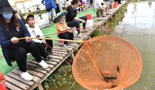 钓鱼直播吃瓜,吃瓜群众笑翻天