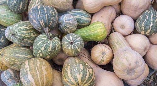 适合产后吃的瓜