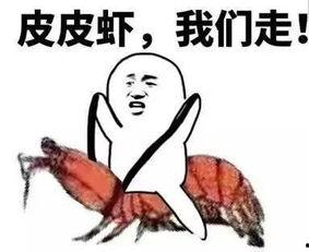 吃瓜群众看人生,吃瓜群众视角下的多彩人生画卷