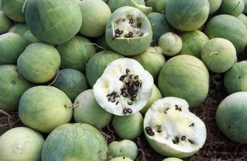 全网吃瓜都有哪些,揭秘网络热点背后的故事