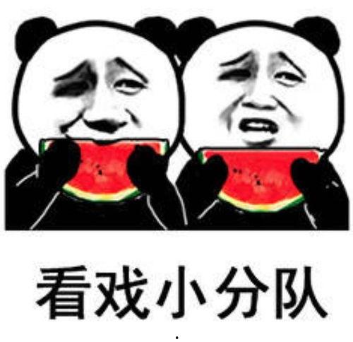 嗑瓜吃瓜表情包