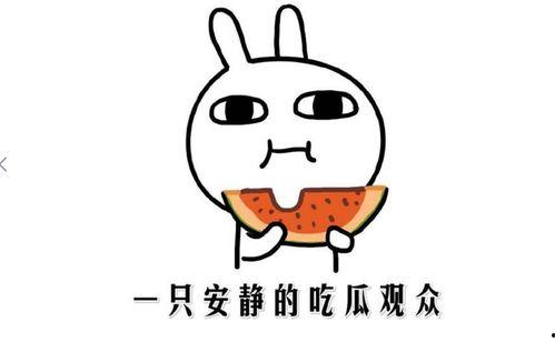 吃瓜恶心事件分享,揭秘网络暴力背后的黑暗面